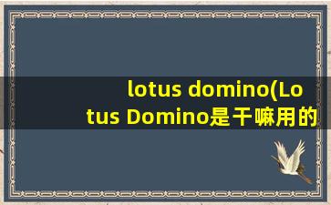 lotus domino(Lotus Domino是干嘛用的)